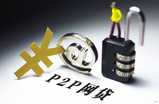 京东入局P2P 金融中介服务的新玩家，对网贷投资人真无益处？