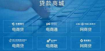 云贷365 数字化时代的专业金融中介服务