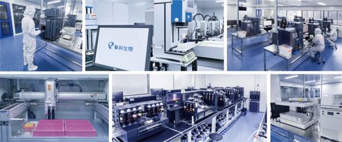 擎科生物获4亿元B轮融资，加速智能化基因工厂建设